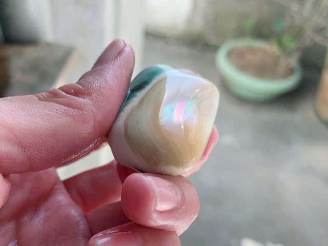 商品紹介